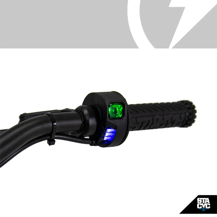 Stacyc 16eDrive Elite 36V Brushless Motor E-Bike for Ages 6-8