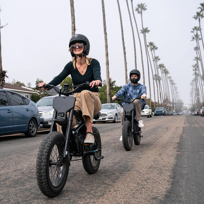 Stacyc 20hDrive 500W Brushless Hub Motor E-Bike