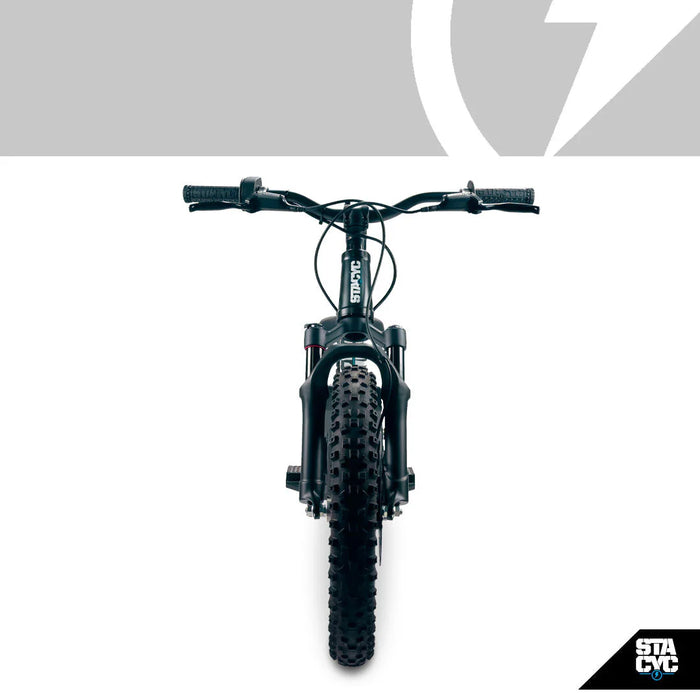 Stacyc 16eDrive Elite 36V Brushless Motor E-Bike for Ages 6-8