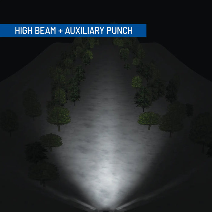 Polaris OEM Snowmobile Auxiliary Punch Light