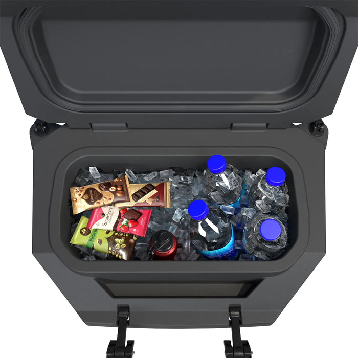 Polaris Lock & Ride 28 Quart Rear Cooler for RZR XP 4 1000