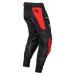 FLY Racing Mens Evolution DST Pants