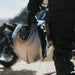 Shoei Neotec 3 Helmet