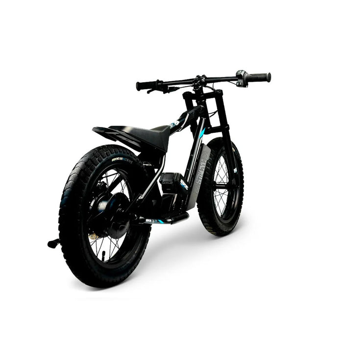 Stacyc 16hDrive 250W Brushless Rear Hub Motor E-Bike for Ages 4+