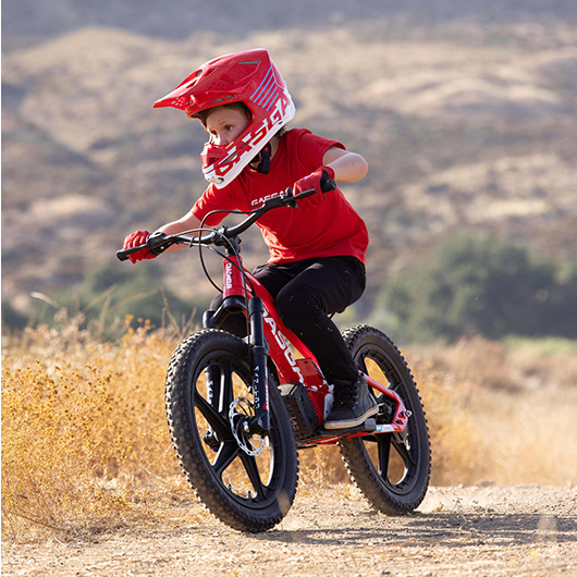 Stacyc 20eDrive GasGas Replica E-Bike for Ages 10-12