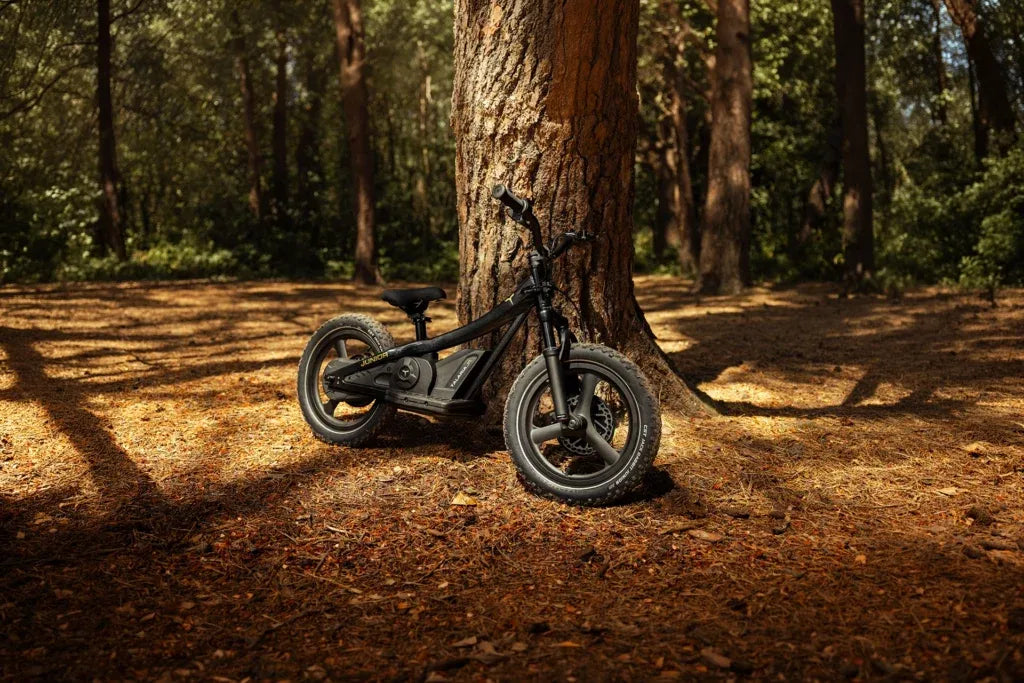 Talaria JR-16 Electric Bike