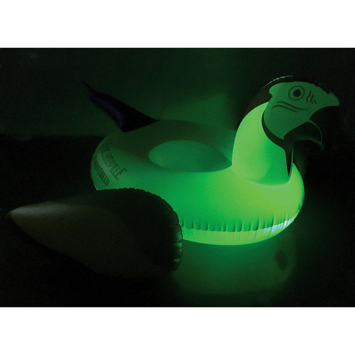 MARGARITAVILLE SOLAR LED PARROT HEAD